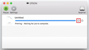 Solutions for Mac Users when Epson Printer is showing Offline